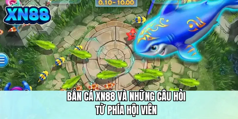 Bắn cá XN88 và những câu hỏi từ phía hội viên