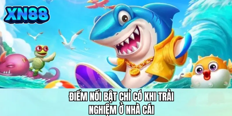 Điểm nổi bật chỉ có khi trải nghiệm ở nhà cái