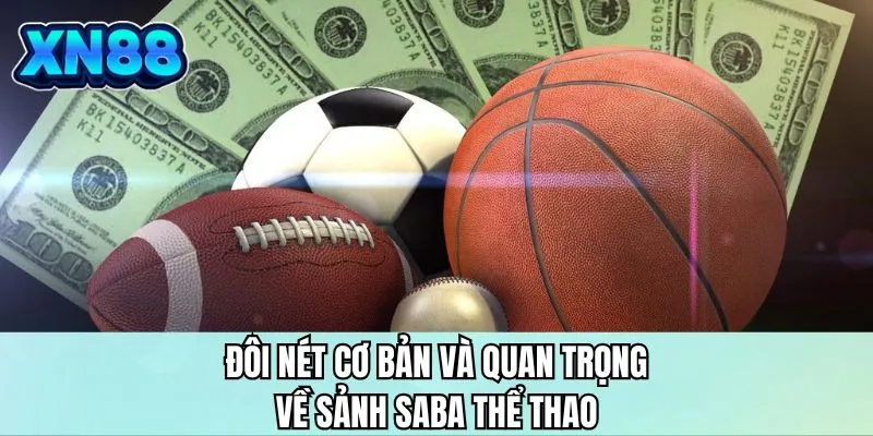 Đôi nét cơ bản và quan trọng về sảnh SABA ở nhà cái