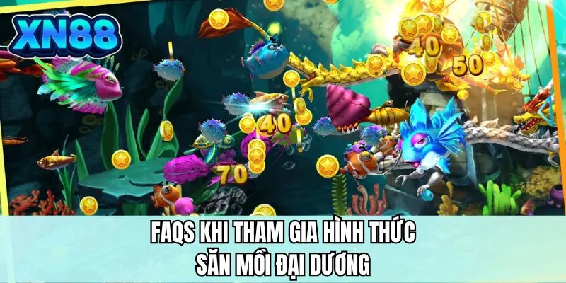 FAQS khi tham gia hình thức săn mồi đại dương 