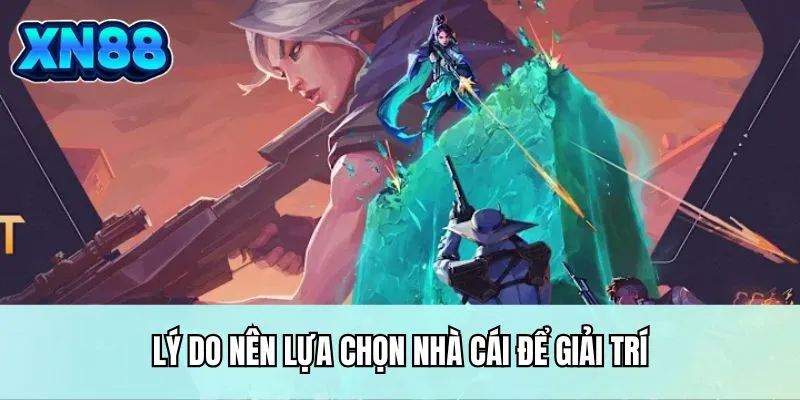 Lý do nên lựa chọn nhà cái để giải trí