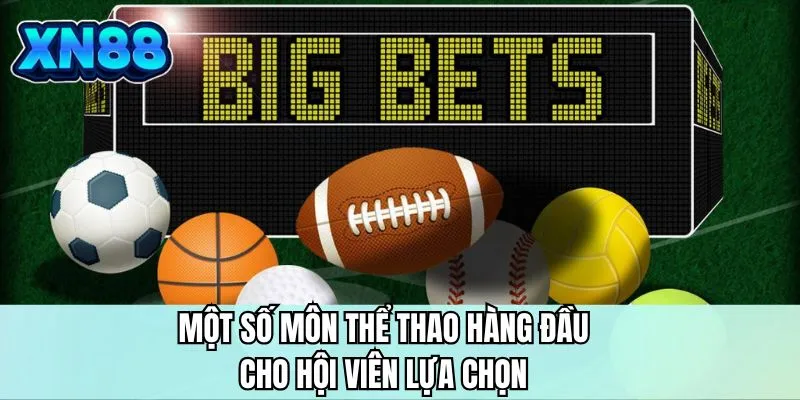 Một số môn thể thao hàng đầu cho hội viên lựa chọn