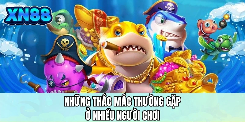 Những thắc mắc thường gặp ở nhiều người chơi