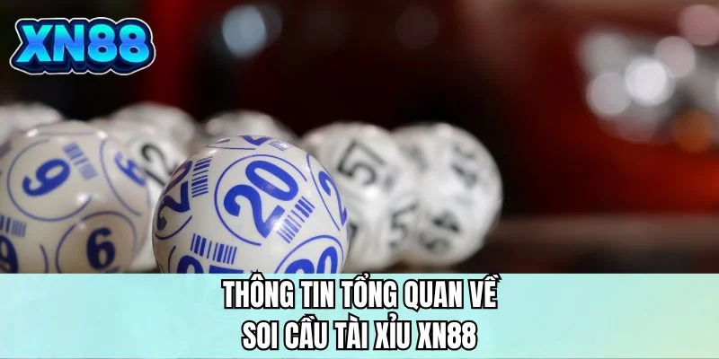 Thông tin tổng quan về soi cầu tài xỉu XN88