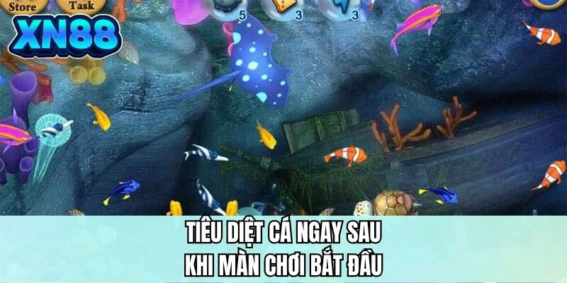 Tiêu diệt cá ngay sau khi màn chơi bắt đầu