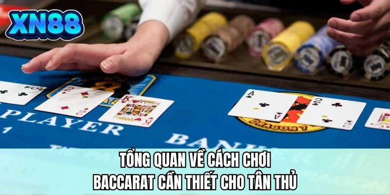 Tổng quan về cách chơi Baccarat cần thiết cho tân thủ