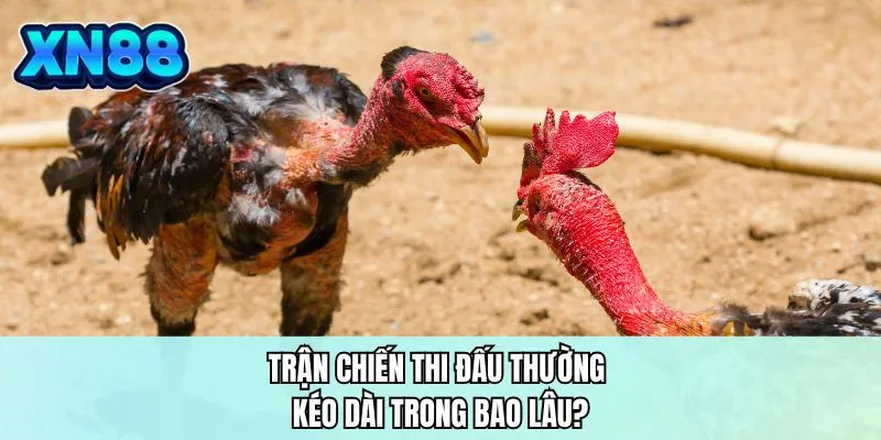 Trận chiến thi đấu thường kéo dài trong bao lâu?